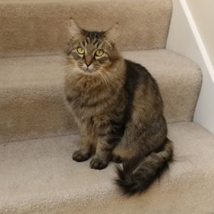 Meet your Posher, Debbie